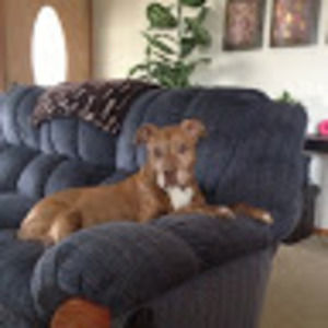 Meet your Posher, Stephanie k.